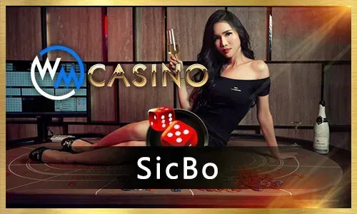 Blackjack Basic Strategy